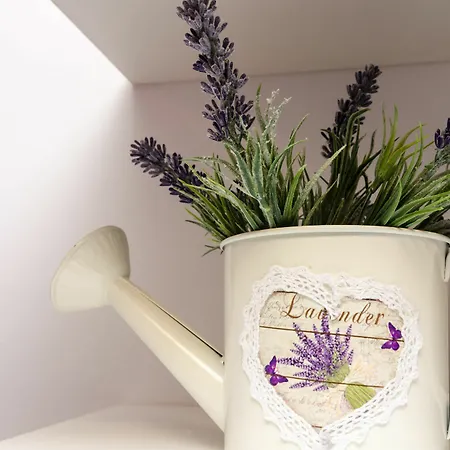 Lavender Garden *