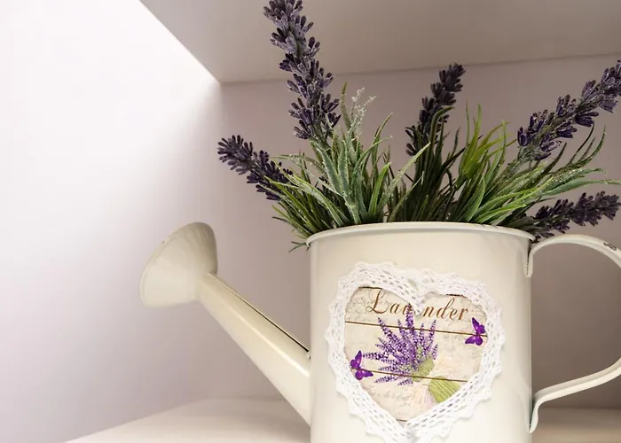 Lavender Garden *